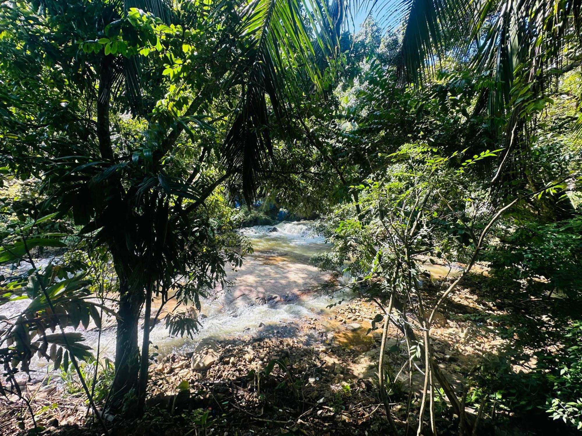 River Splendour Home Stay Елла Екстер'єр фото